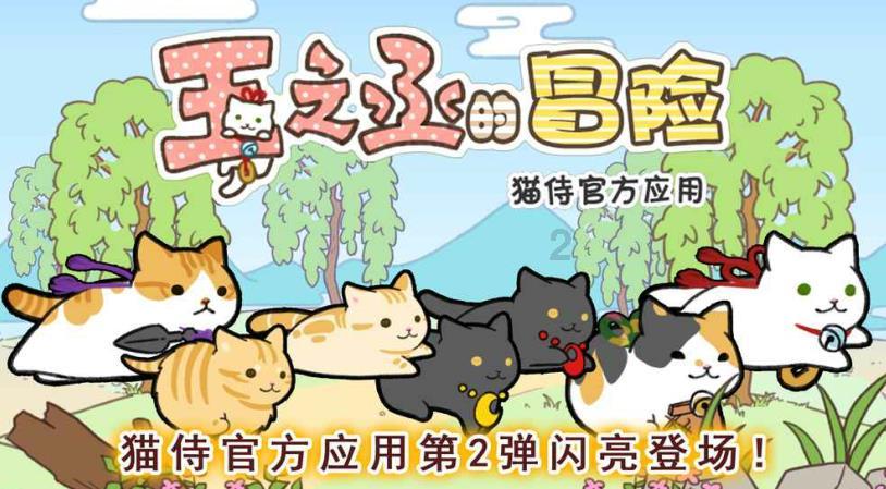 中国学信网上可以查到中央党校函授学院的文凭吗?-探索知识的新星,一起加入吧!