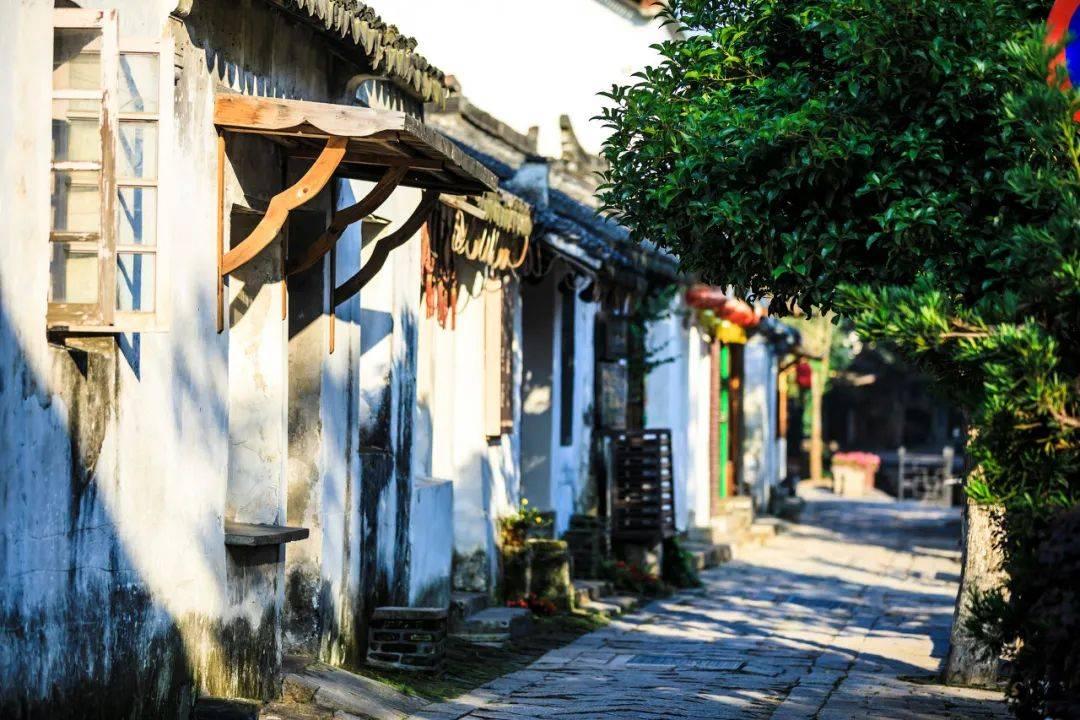 58问答交流平台欲钱去买的捣毁动物 什么生肖,答疑解惑无限时!